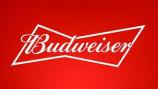 Anheuser Busch - Budweiser 8pk 16oz Aluminum Bottles 0