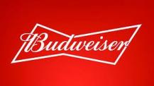 Anheuser Busch - Budweiser 8pk 16oz Aluminum Bottles