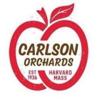 Carlson Peach Festival Dry Cider 16oz Cans