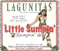 Lagunitas Little Sumpin 12pk